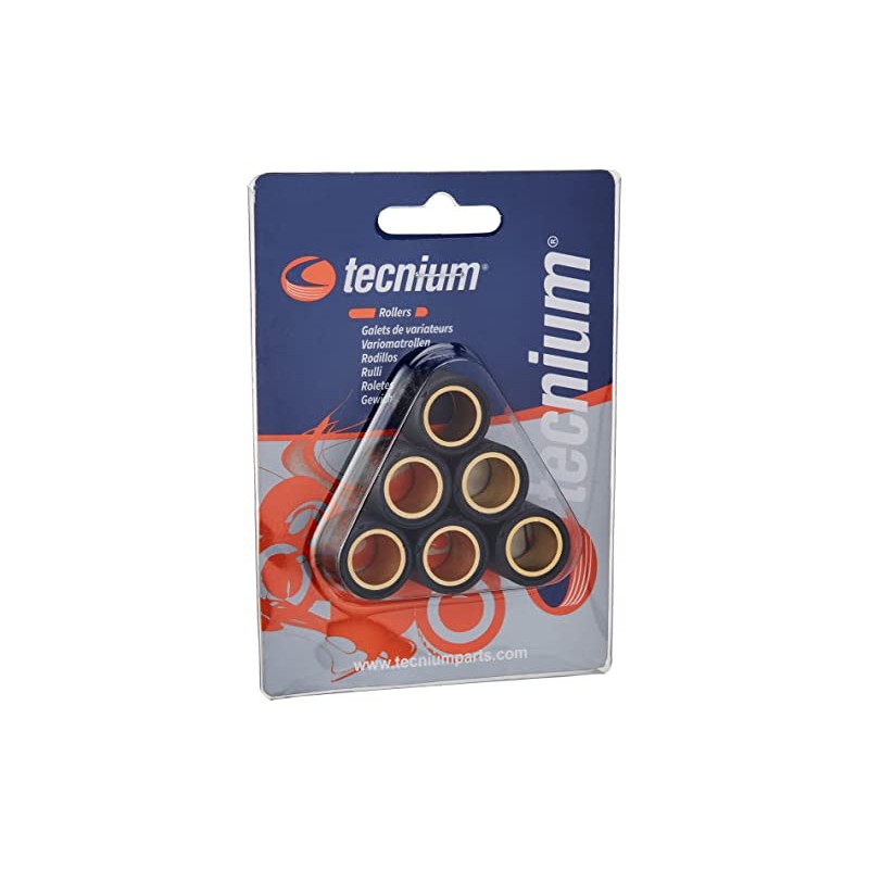 Vicma variator weights Maxi Scooter 19x17 – 10.00g – set