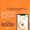 CL Par De Tarros Cerveceros Con Forma De Cráneo