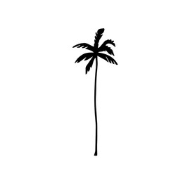 Palm tree tattoo – Temporalis® | Temporary tattoo, vegan and waterproof – EU-certified cosmetic – Lasts 1 to 2 weeks [ Tropical palm tree ]