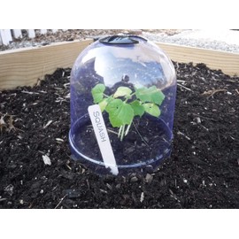 6-Pack! GrowAway Medium Reusable Plastic Mini Greenhouse, Cloche Dome, Plant Covers for Frost Guard Freeze Protection Outdoors, Garden Tools and Accessories - 10.24"Diam. x 7.48"H