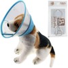 Bolbove Pet Plastic Clear Cone Recovery E-Collar with Dots Design