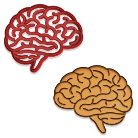 Mighty Gadget Human Brain Cookie Cutter & Stamp - 4x3.42 Inches, AnatomyThemes (Random Color)