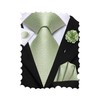 Hi-Tie Ties for Men Tie and Lapel Pin Set Paisley