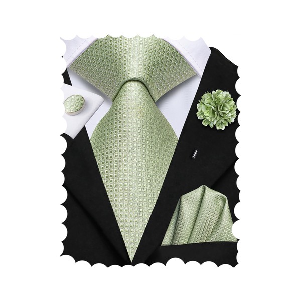 Hi-Tie Ties for Men Tie and Lapel Pin Set Paisley