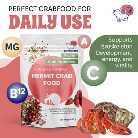 Snout and Shell Snout and Shell Fruity Breakfast Blend Hermit Crab Dry Food - High Protein & Nutrient Blend Diet of Rolled Oats, Blueberries, Strawberry, Banana, Sprouted Seeds Mix - Aquatic Pet Snack Treat | 65g
