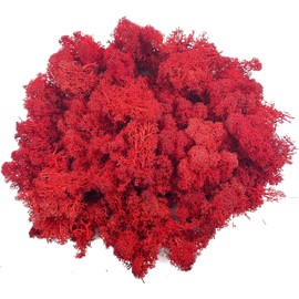 Moss Preserved Moss for Potted Plants Natural Fresh Green Reindeer Moss for Craft Arts Floral Wall Decor Decor Wedding Centerpieces Garden Artificial Terrariums Decoration for Christmas - Red 3.52OZ