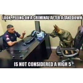 German Shepherd refrigerator magnet 3 1/2 x 4 1/2 Made in USA