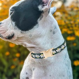 YUDOTE Soft Corduroy Dog Collar with Jacquard Ribbon Premium Patterned Floral Collars for Small Dogs Daily Use,Green