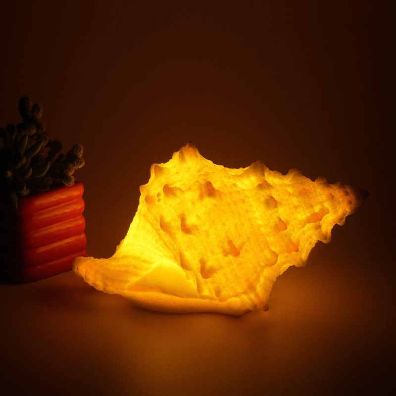 GREENIC Portable Conch Shell Beach Themed Night Light w Timer