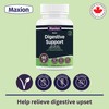 MAXION Maxion Digestive Support, 60 Capsules with Ginger, Peppermint and