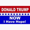 CafePress Now I Have Hope Greeting Card (20-pack), Note Card