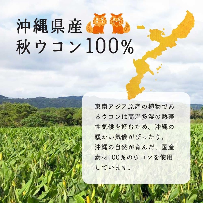 オーガランド 秋ウコン 粉末 100g 沖縄県産 秋ウコンパウダー 秋ウコン粉 国産 栽培期間中農薬不使用