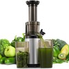 Masticating Juicer Machines, Reemix Cold Press juicer Machine Compact Size,
