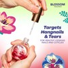 Blossom Cuticle Oil for Nails, Hydrating, Moisturizing, Scented Nail Oil