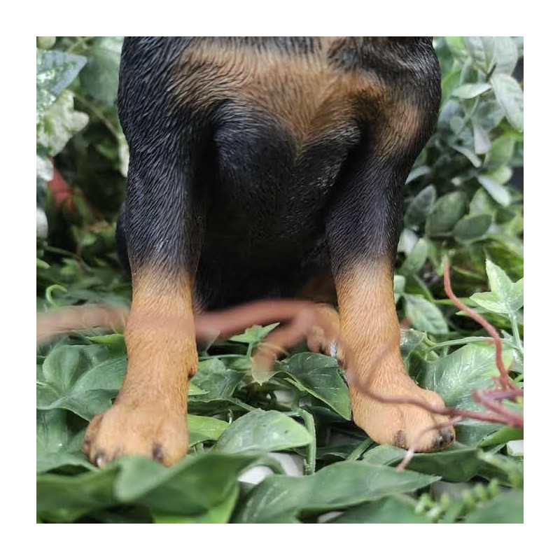 Vivid Arts - Rottweiler - XRL-ROTT-D