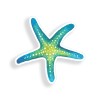 Real Sticky 3" Blue Starfish Sticker Beach Star Fish Laptop