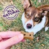 Old Mother Hubbard Wellness P-Nuttier Dog Biscuits, Natural, Training Treats,