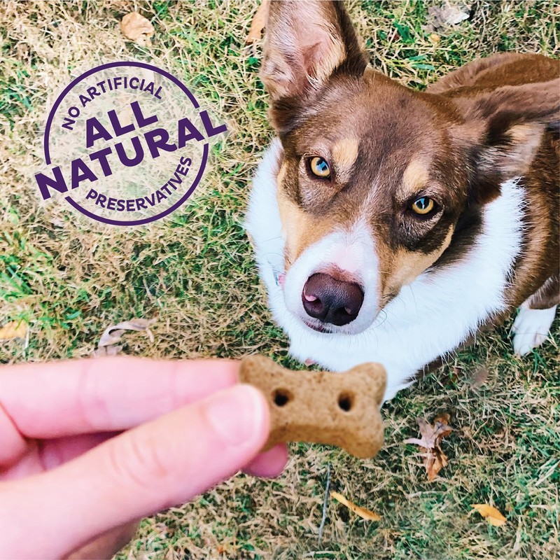 Old Mother Hubbard Wellness P-Nuttier Dog Biscuits, Natural, Training Treats,