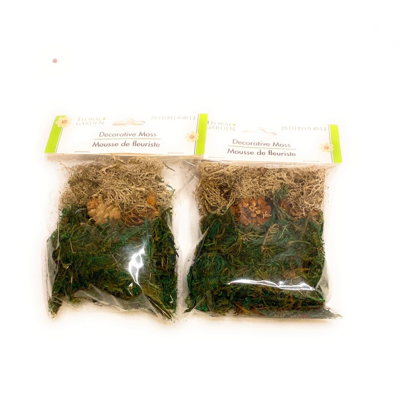 Floral Garden Reindeer Moss 24 CU IN (0.39 L) (2-Pack)