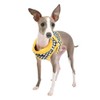 Racer Harness B, Colour: Yellow, Size: M