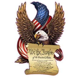 American Flag Eagle We The People Decal (18" x 12.5")