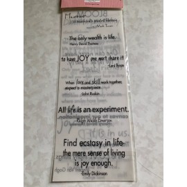 COLORBOK 3D VELLUM SENTIMENTS TWO SHEETS 4.5”x11” PHRASES QUOTES WORDS #2A