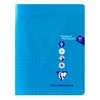 Clairefontaine 303161C - Pack of 5 Mimesys Notebooks 17 x