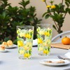 Reston Lloyd Calypso Basics Fresh Lemons 19 oz Acrylic Drinkware