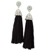 Suede Crystal Tassel Earrings (Black)