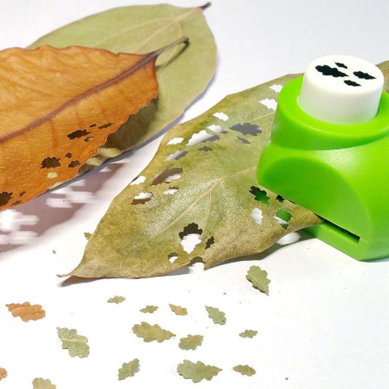 Beautiful Paper Punch Cutter Tree Leaf Making Mold DIY Craft