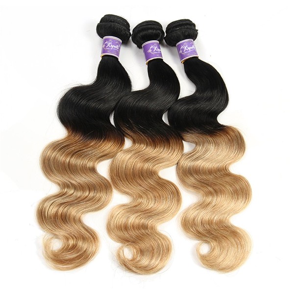 Ombre Brazilian Hair Body Wave Bundles 3pcs, Ombre Brazilian Virgin Hair Human Hair Weave Two Tone Black to Blonde (T1B/27,12 12 14)