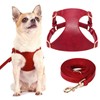 Didog No Pull Dog Harness for Small Dogs, Soft &