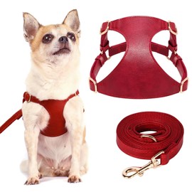 Didog No Pull Dog Harness for Small Dogs, Soft & Lightweight Small Dog Harness and Leash Set, Durable & Adjustable Leather XS Dog Vest Harness for Puppy Small Medium Dogs, Red, XS