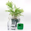 Automatic Watering System USB Intelligent Garden Irrigation Watering Timer 100‑240V