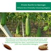 Natural Loofah Kitchen Sponge (XL - 10 Pack) - Natural