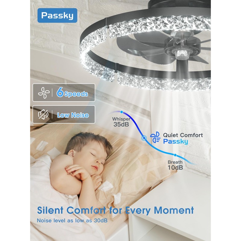 Passky 19.7” Low Profile Ceiling Fan with Lights and Remote,