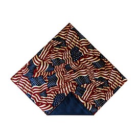 Holiday Bow Ties Mens Handkerchief Pocket Square Vintage American Flag, Mens (Mens)