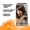 L'Oreal Paris Feria Multi-Faceted Shimmering Permanent Hair Color, 40 Deeply Brown Natural, Hair Dye with Conditioning Oils, Pack of 1