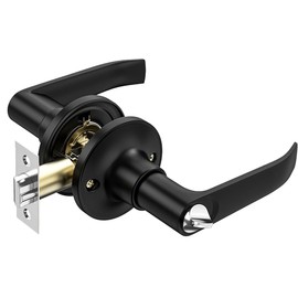 Qrity Lever Door Handle Lock with Keys, Door Lock for Interior, Privacy Knob Locking Device, Security Door Locks for Entrance/Exit Access - Black