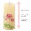 Kameyama S7687-00-00 Iroha Akari Lotus Compact Size S