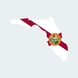 fagraphix Florida State Shaped Flag Sticker Self Adhesive Vinyl Decal FL - 5.00 Wide