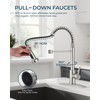 FORIOUS Kitchen Faucet with Pull Down Sprayer, Brushed Nickel Stainless