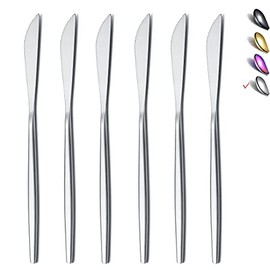 Dinner Knives 6 Piece, Stainless Steel Matt Silver Dinner Knife, Sturdy butter knife, Modern Design butter knives, Dishwasher Safe (Matt Silver-8.9 Inch)