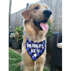 KISJO Mama's Boy Blue Plaid Triangle Pet Dog Scarf Bandanas, Funny Gender Reveal Photo Prop and Pet Scarf for Pet Birthdays for Pet Dog Lovers