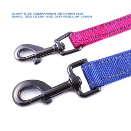 Max and Neo Small Dog Reflective Nylon Dog Leash - We Donate a Leash to a Dog Rescue for Every Leash Sold (Pink, 4x5/8)