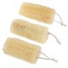 Natural Loofah Sponge, Natural Loofah Loofa for Skin Exfoliation 3Pcs