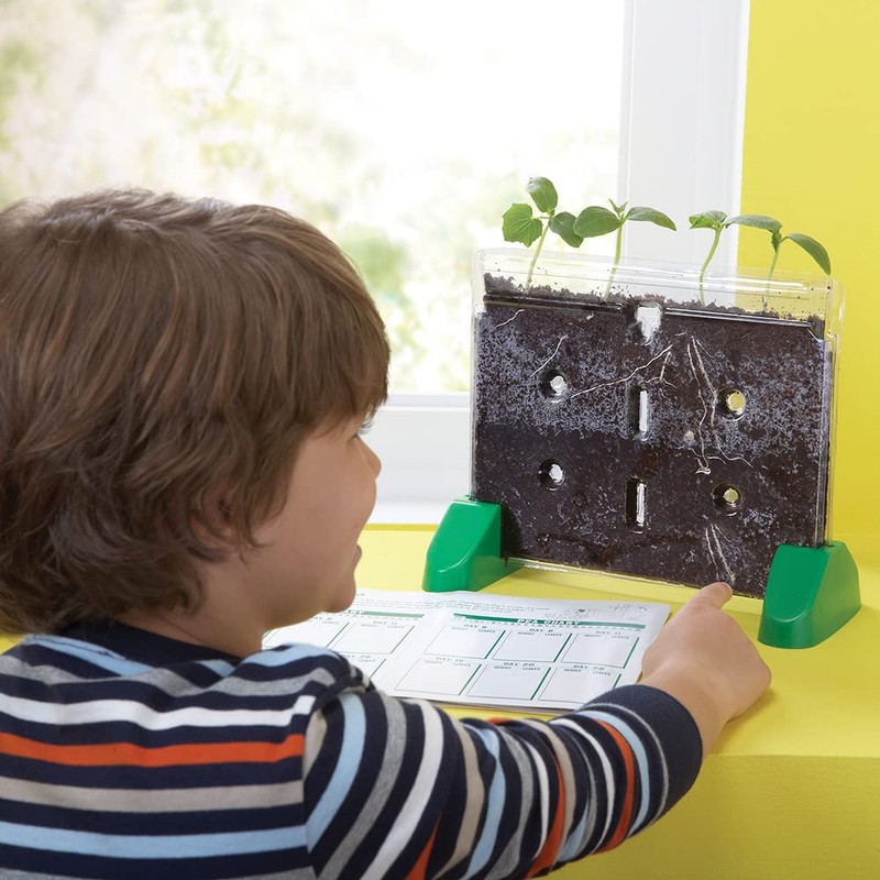 Educational Insights Sprout & Grow Window - See-Through Sprouts Growing