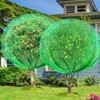 Fanfanwin 2 Packs 10 x 10 ft Large Fruit Tree