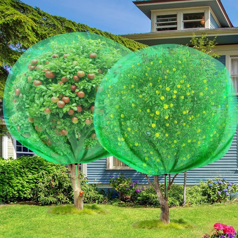 Fanfanwin 2 Packs 10 x 10 ft Large Fruit Tree