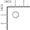 Briggs and Stratton 7090509YP Lockwasher, 1/2"